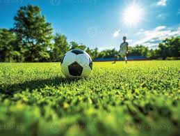 篮球教练指导训练场景